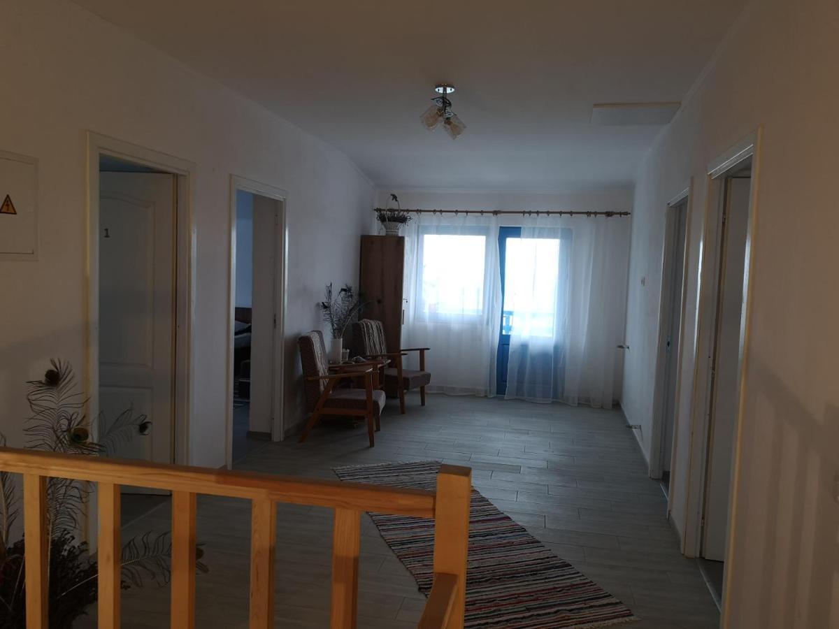 Casa David Hotel Dunavăţu de Sus Eksteriør billede