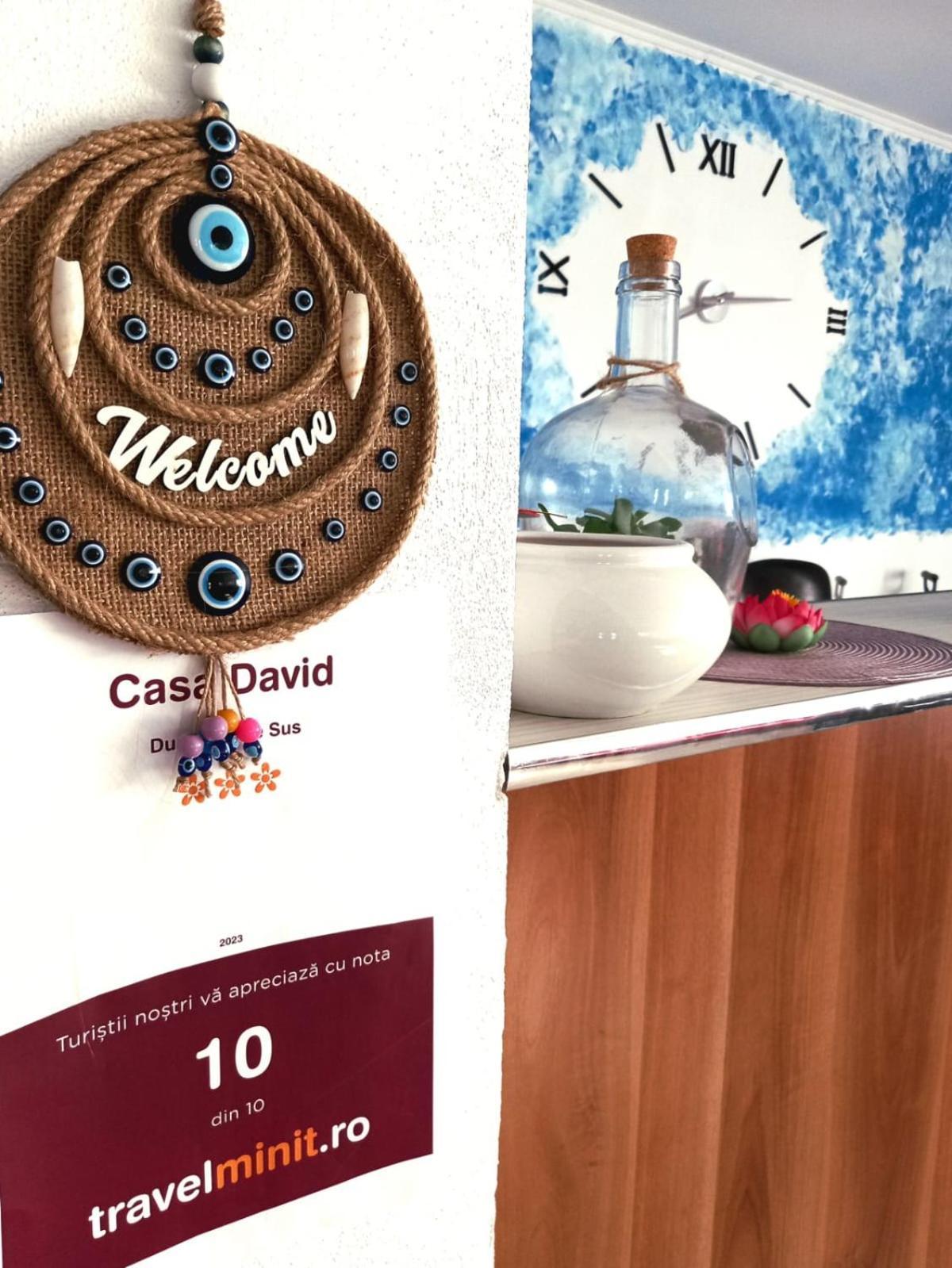 Casa David Hotel Dunavăţu de Sus Eksteriør billede