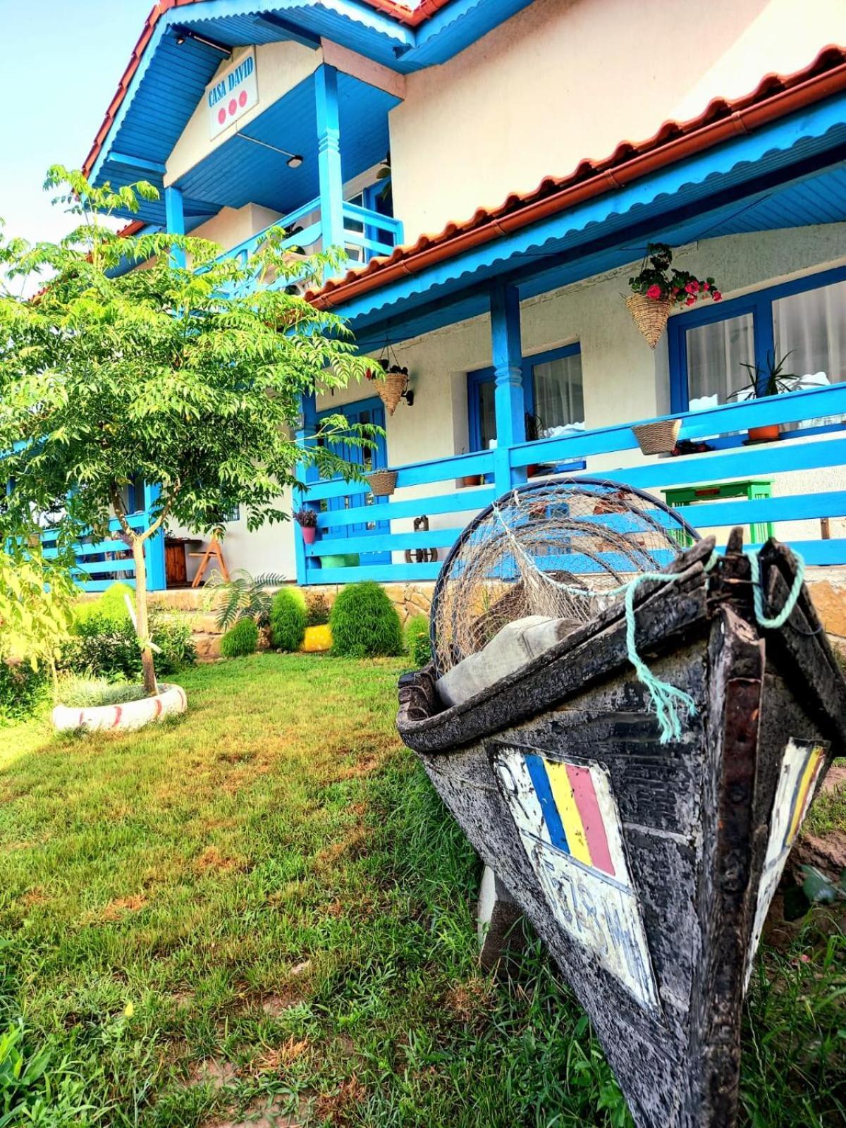 Casa David Hotel Dunavăţu de Sus Eksteriør billede