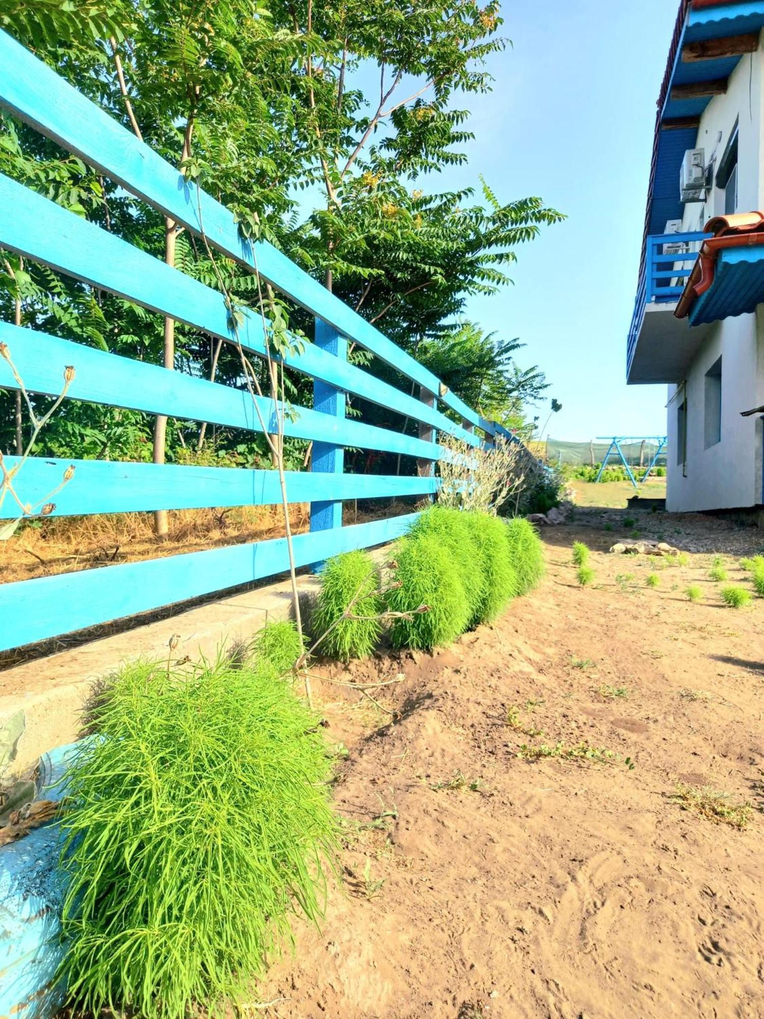 Casa David Hotel Dunavăţu de Sus Eksteriør billede